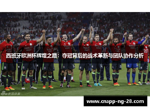 西班牙欧洲杯辉煌之路：夺冠背后的战术革新与团队协作分析