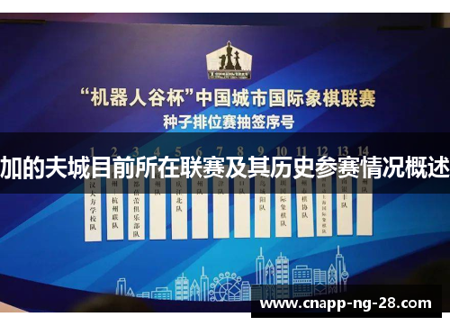 加的夫城目前所在联赛及其历史参赛情况概述 加的夫城目前所在联赛及其历史参赛情况概述