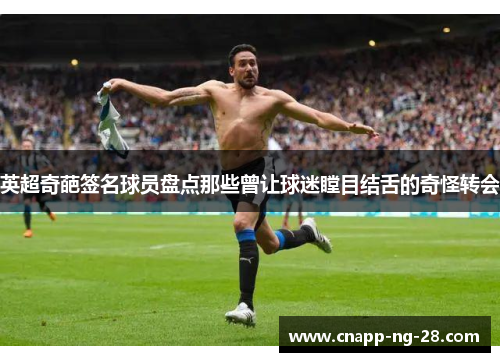 英超奇葩签名球员盘点那些曾让球迷瞠目结舌的奇怪转会 英超奇葩签名球员盘点那些曾让球迷瞠目结舌的奇怪转会