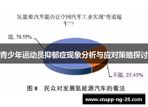 青少年运动员抑郁症现象分析与应对策略探讨 青少年运动员抑郁症现象分析与应对策略探讨
